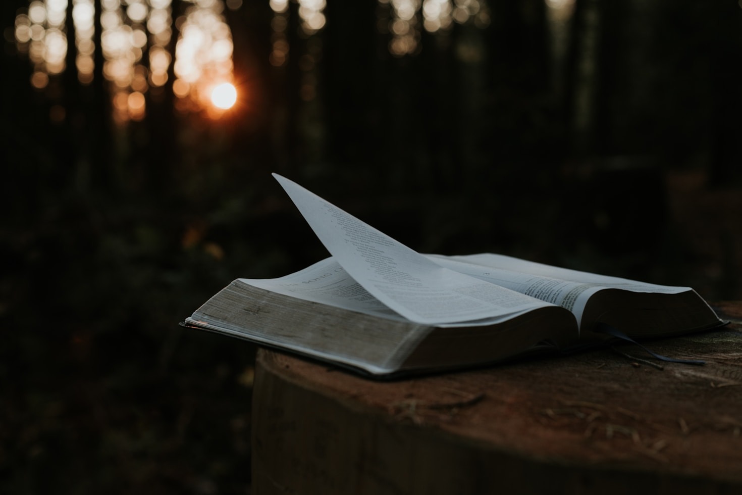 The Transformative Journey Toward Truth